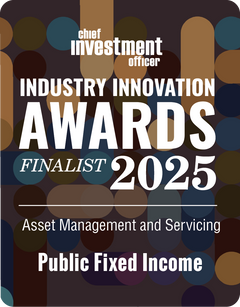 Logo: 2025 CHIEF INVESTMENT OFFICER Asset Management & Servicing: Public Fixed Income