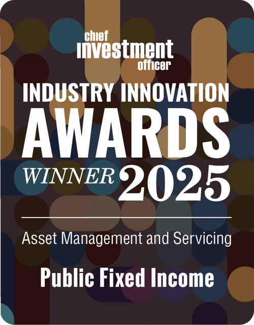 Logo: 2025 CHIEF INVESTMENT OFFICER Asset Management & Servicing: Public Fixed Income